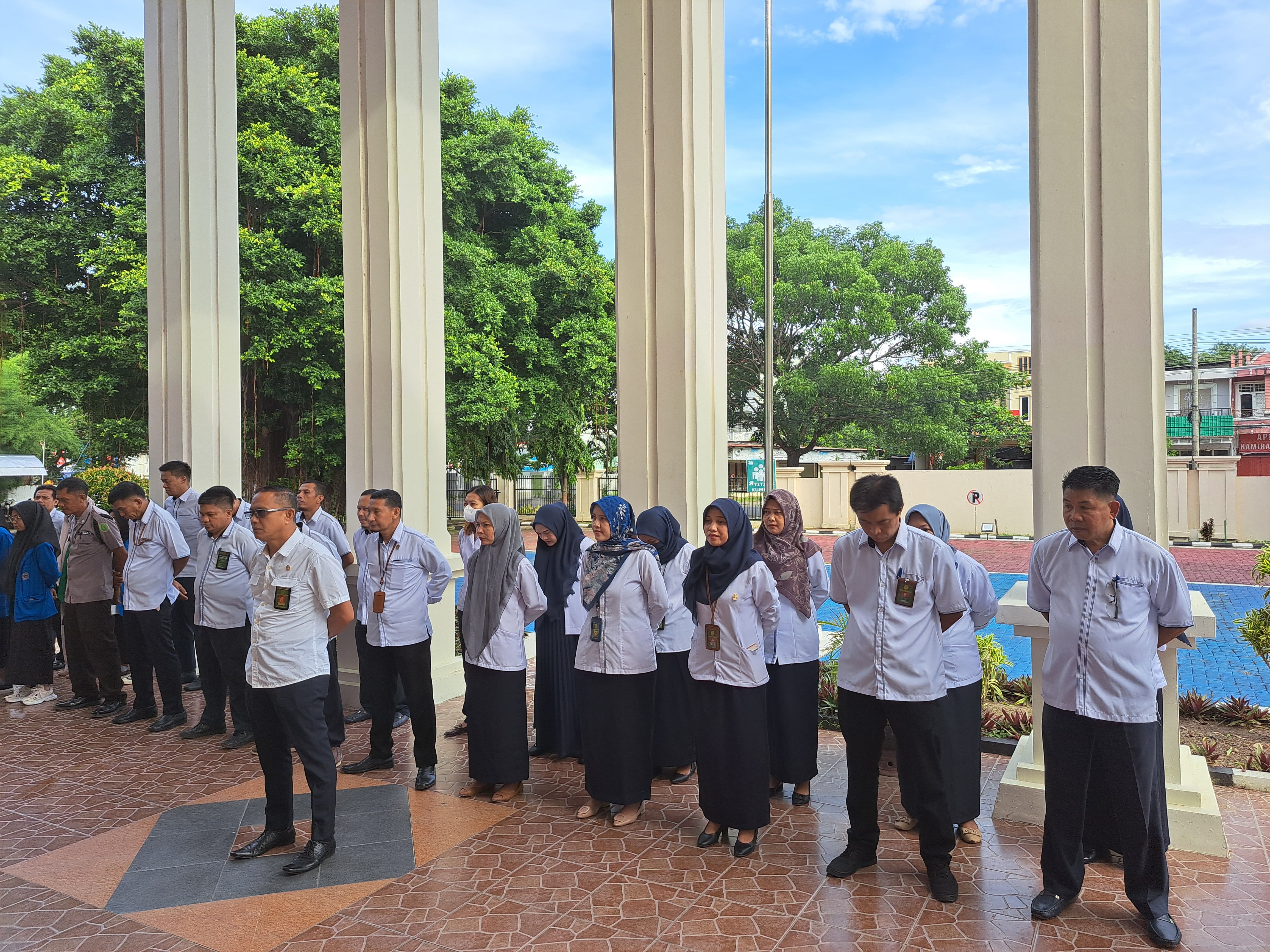 apelsenin24 2