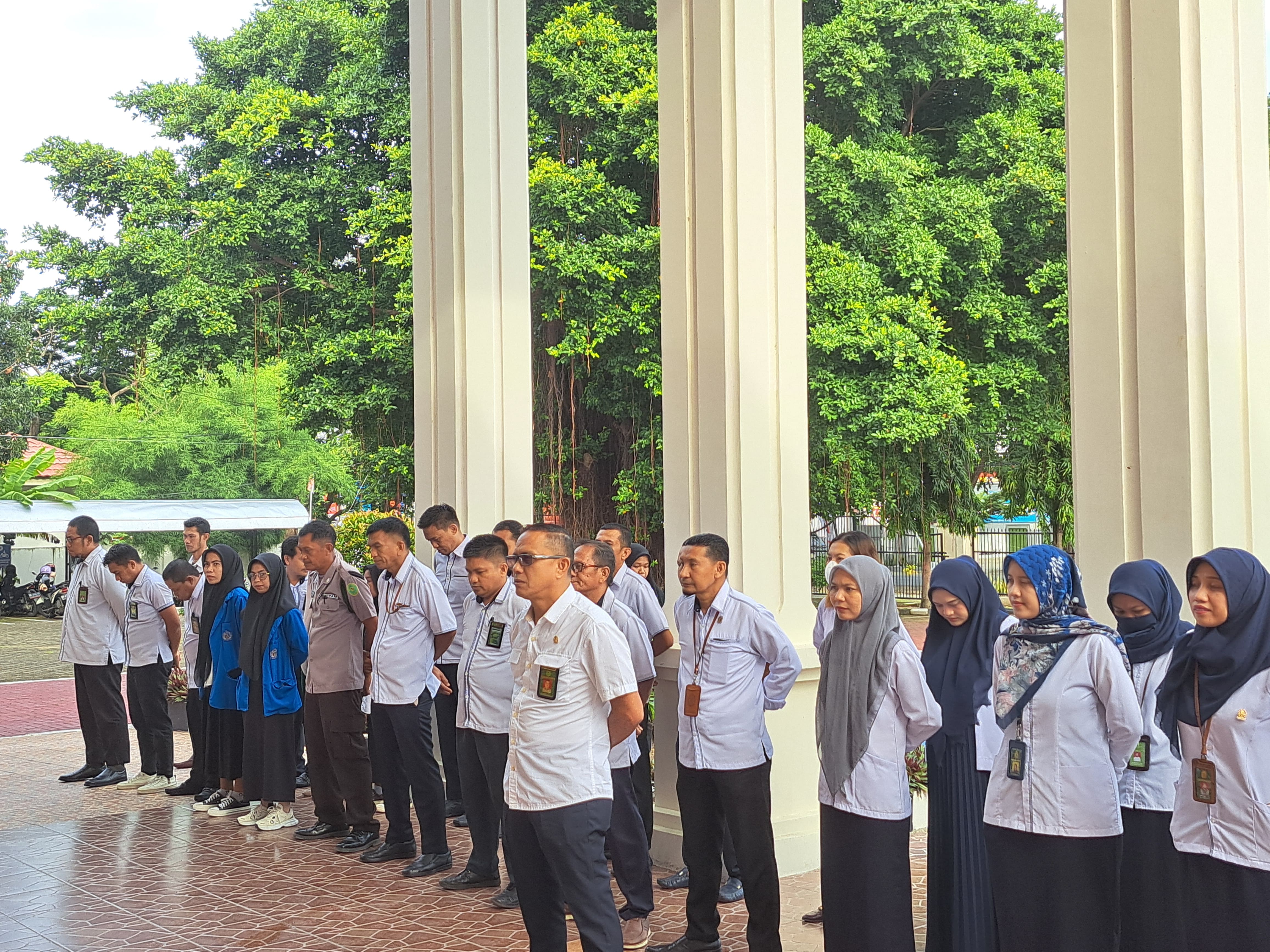 apelsenin24 3